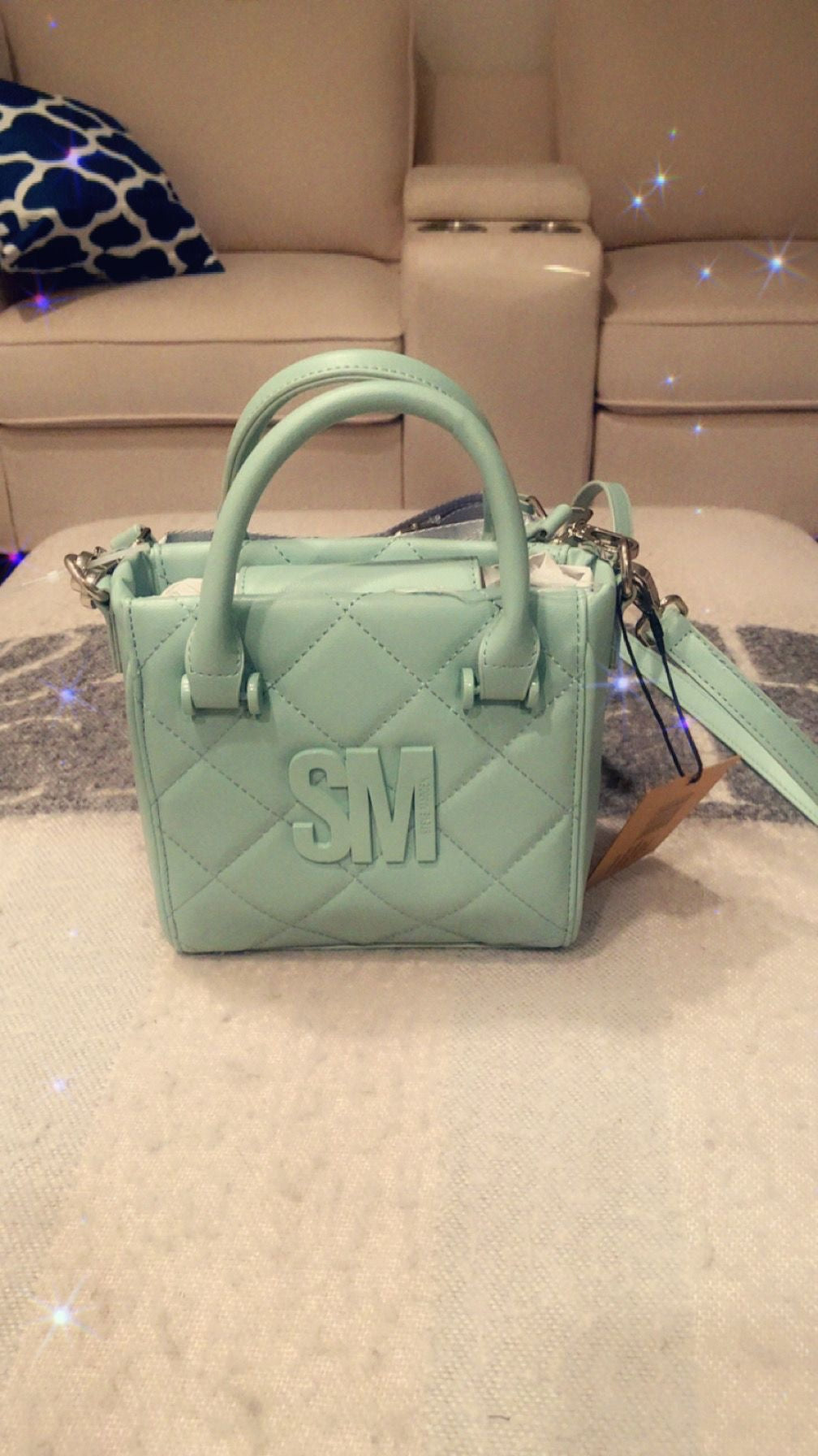 Steve Ladden Pistachio Bag